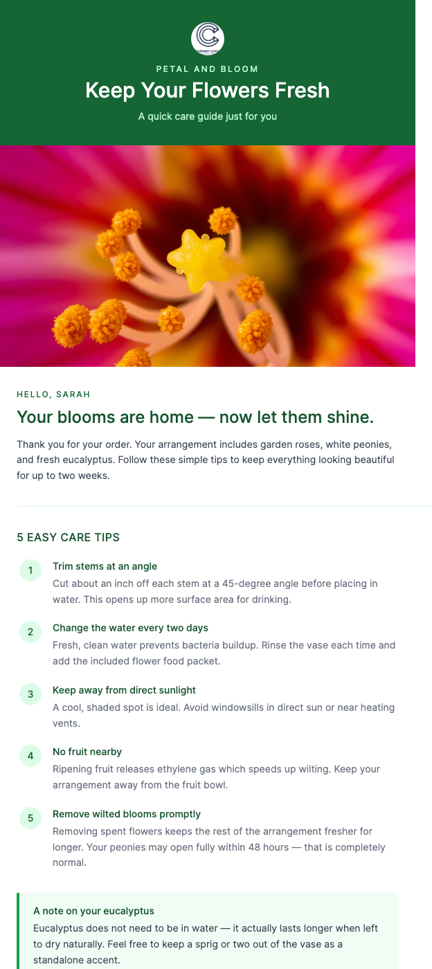 Flower Care Guide – Keep Your Blooms Fresh Longer