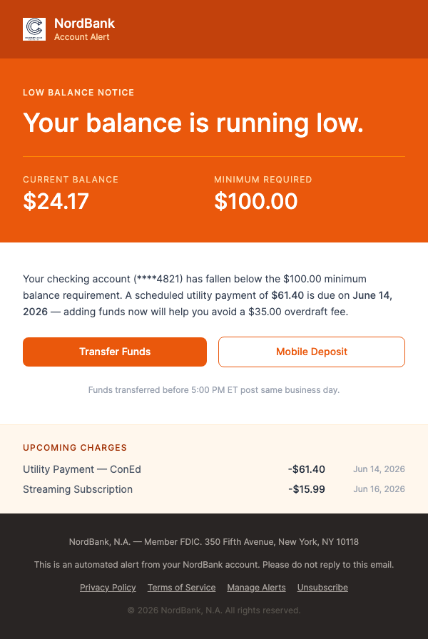 Low Balance Alert – Your Account Needs Attention