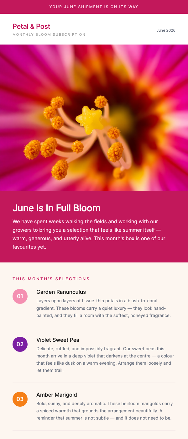 Monthly Flower Subscription – Your Box Ships This Week