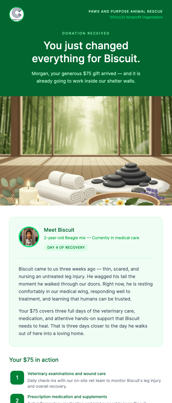 Nonprofit One-Time Donation Thank You