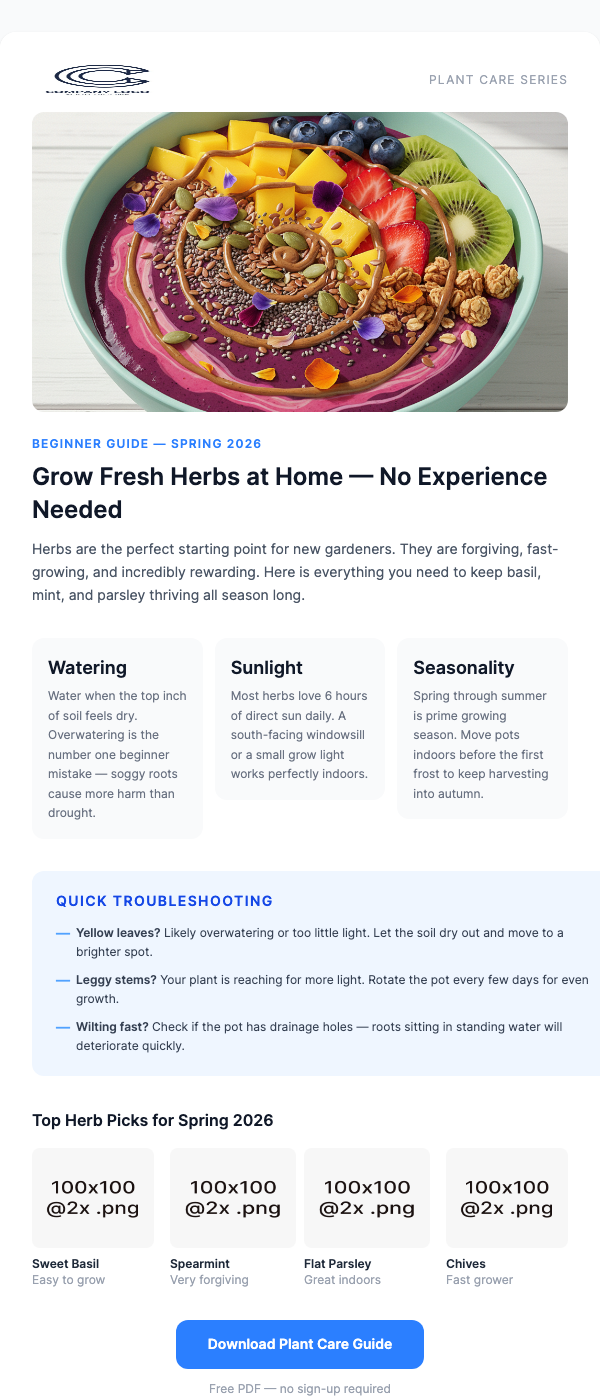 Plant Care Tips – Grow Your Garden With Confidence