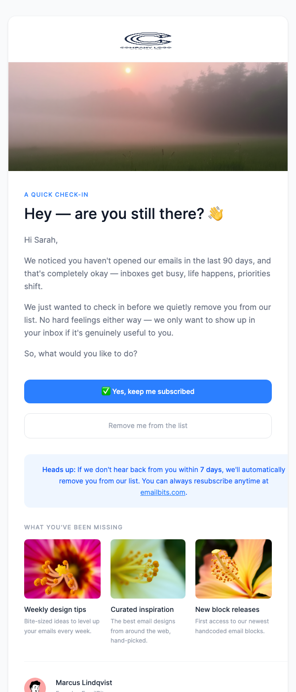 Subscriber Re-Engagement
